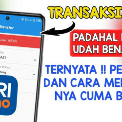 Penyebab dan Solusi Kode ZS301 BRImo Yang Perlu Anda Ketahui