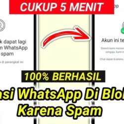 Kenapa WhatsApp Diblokir Karena Spam? Penyebab dan Solusi yang Tepat