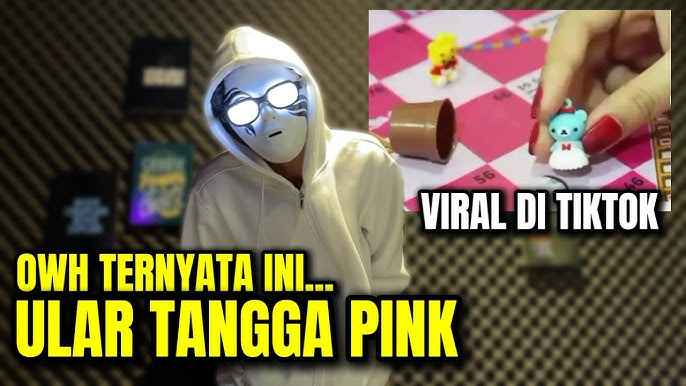 Viral di Media Sosial Permainan Ular Tangga Pink untuk Orang Dewasa dan Dampaknya di Masyarakat