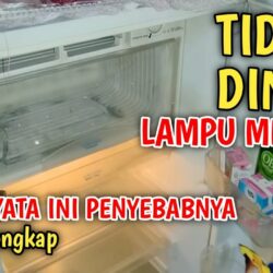 Lampu Kulkas Menyala Tapi Tidak Dingin? Penyebab dan Solusi Lengkap