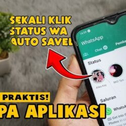 Cara Download Story WhatsApp Tanpa Aplikasi Tambahan Lengkap dan Efektif