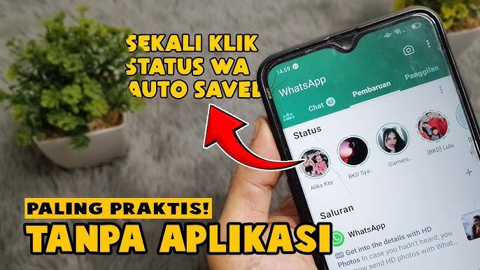 Cara Download Story WhatsApp Tanpa Aplikasi Tambahan Lengkap dan Efektif