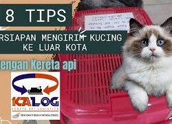 Panduan Lengkap Cara Mengirim Hewan Lewat Kereta Api Kalog