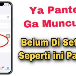 Penyebab dan Solusi Mengatasi Notifikasi WhatsApp Tidak Muncul di iPhone