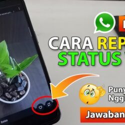 Cara Repost Story WhatsApp di Menu Terbaru 2025