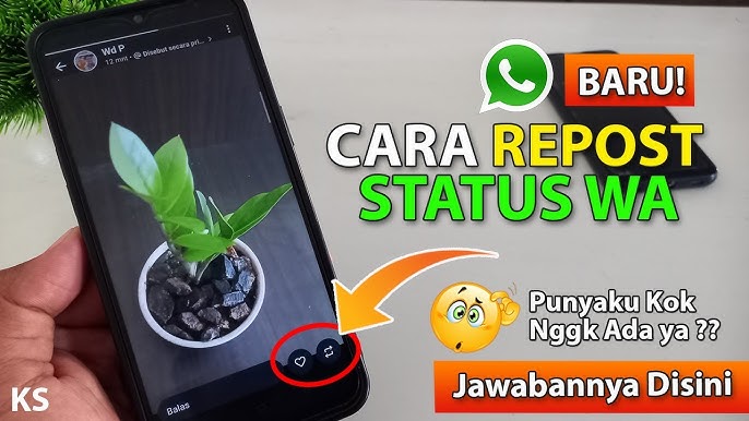 Cara Repost Story WhatsApp di Menu Terbaru 2025